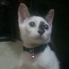 edward.edo2