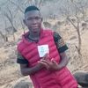 yamadoudiallo