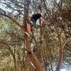 hadi_kb4