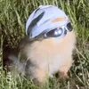 bombastically999