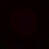 priw_315
