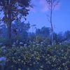 erubiel_4