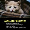 bung.tomo61