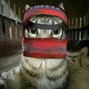 mooncovvv
