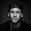 njr.vivizin