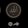 user8111506950386