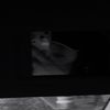 liarin_04