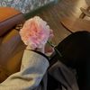 diisha.8