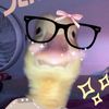 nuggit12