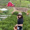 .tuyt.dung