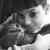 nur_8273