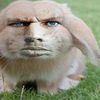 nemnozhk0