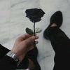 .ahmad8991