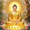 hieunguyen7682