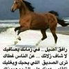 user9800061142249