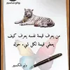 ibrahimadia5619