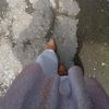 sidesii_