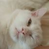 mohamedsaeed8977