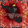 gravity.guy4
