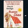 flor.romero978