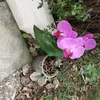 personne_00.com