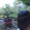 meozhb_ie