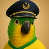 lourinho patriota