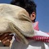 shihab_fm