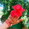 abdul.kader9476