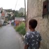 gabofox1