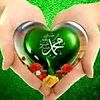 chaliesta.rahmani