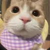 me1908298