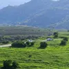 dwy2023244