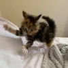 vvkjvbiwq