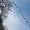 random.content1.4