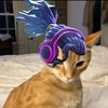 eliazaja
