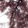 lostinthisworld69