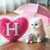 halima.ato
