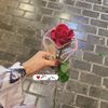 rawan_elayadi