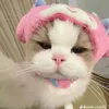 chulunsieulay2