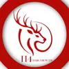 H4 hair growth