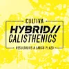hybridcalisthenicses