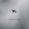 user11141619748442