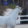 abumaryam_2