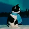 jrsvill
