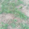 user26683197665401