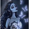 lily.valente