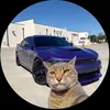 gato.milionario