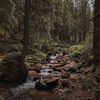 blundertundra4