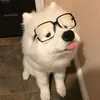 tr_gi_hy